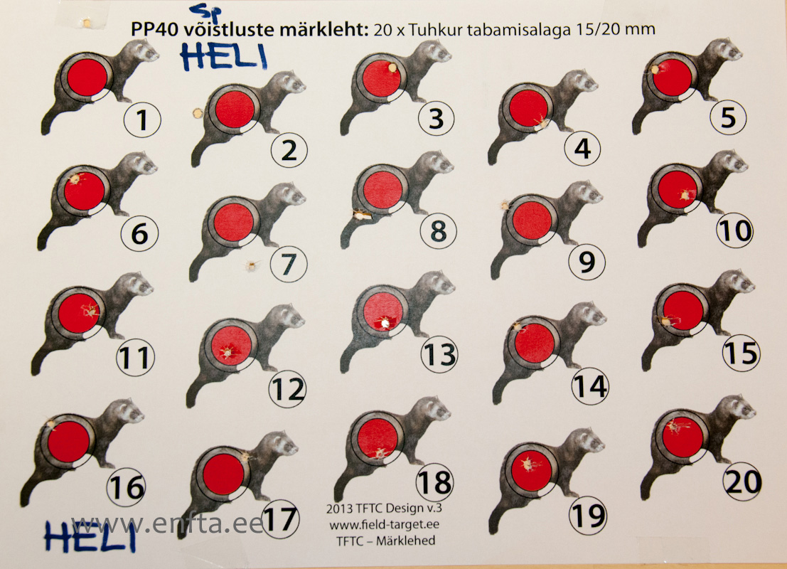 Best Springer Kneeling